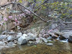 -黑龙潭风景区