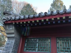 -颐和园