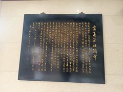 -富春茶社(国庆路店)