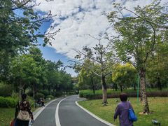 -王借岗森林公园