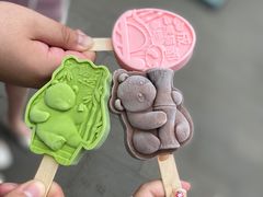 -成都大熊猫繁育研究基地