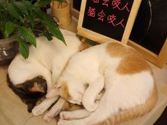 -看书吧(体育东横路店)