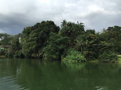 iphone_upload_pic-河川生态园