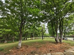 -盘龙城国家考古遗址公园