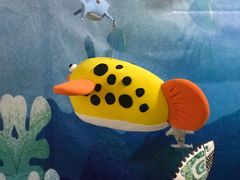 -崂山区第二实验小学