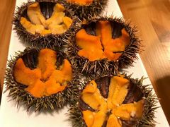 -海胆小馆(东北水饺·春柳店)