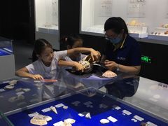 -贝壳王国博物馆