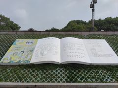 -观潮胜地公园
