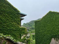 -枸杞岛