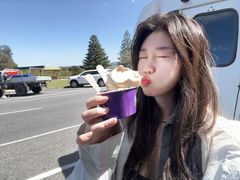 -Dooley's Premium Ice Cream