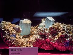 -广东省博物馆