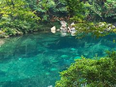 -石台牯牛降景区