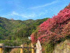 -木兰云雾山