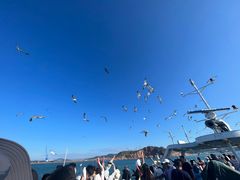 -海驴岛(荣成市)