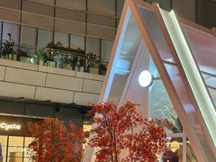 -宝藏绿洲(万象前海店)