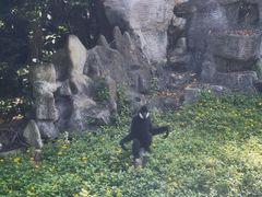 -深圳野生动物园