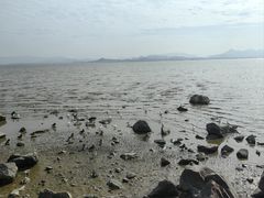 -深圳湾公园(南山区)