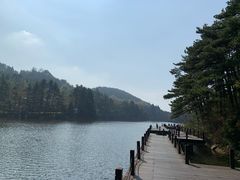 -庐山风景区花径公园