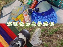 -长白岛森林公园
