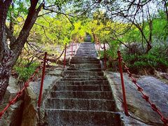 -鲁山国家森林公园