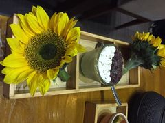 抹茶红豆泥奶酪-堂本家洋食别馆·炸猪排(中心城店)