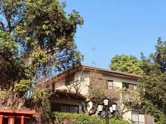 -厦门悦华酒店