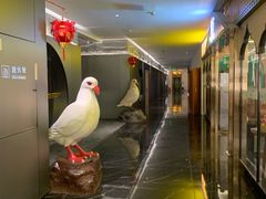 -琬苑鸽庄·川粤融合菜(解放碑总店)