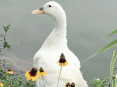 -大宁灵石公园西门票处