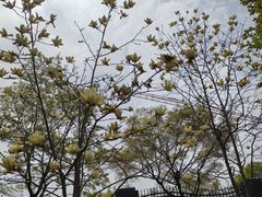 -浙江农林大学(东湖校区)