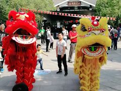 -溱湖国家湿地公园