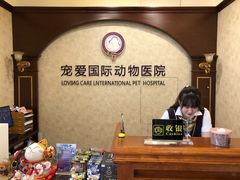-宠爱国际动物医院· 猫科· 外科·中兽医(长白店)