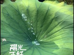 -盘龙城国家考古遗址公园