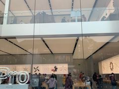 -Apple零售店(成都太古里店)