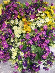 -熙画美上门MakeUp美甲美睫