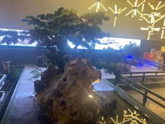 -潮上潮(南中环店)