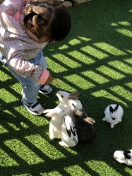 -萌宠亲子动物乐园(槐房万达店)