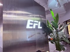-EFL巴西柔术·综合格斗·泰拳·少儿体能训练(虹桥德必馆)