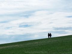 -186彩带河