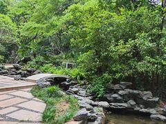 -深圳国际园林花卉博览园