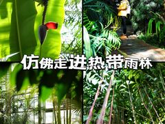 -国家植物园南园
