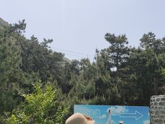 -山叶口景区