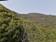 -杭州半山国家森林公园