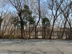 -盐城丹顶鹤湿地生态旅游区