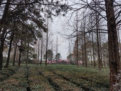 -宝岩生态观光园