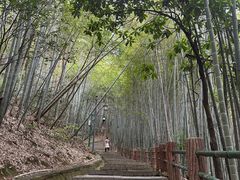 -敬亭山风景名胜区