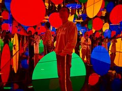 -旧金山现代艺术博物馆