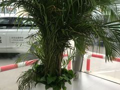 -北京运通博恩一汽大众4S店(亦庄店)