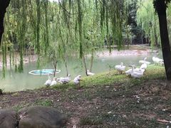 -华西村