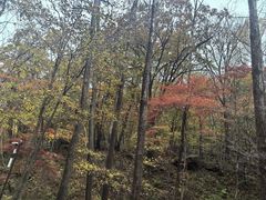 -丹东天桥沟景区