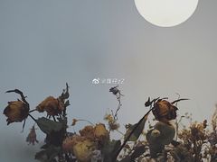 -铁手珈琲制造局metalhands(望京店)